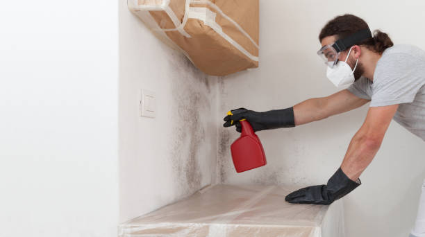 Professional Attic Mold Remediation technician working in Lebanon, IL