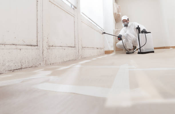 24/7 Emergency Attic Mold Remediation experts in Lebanon, IL